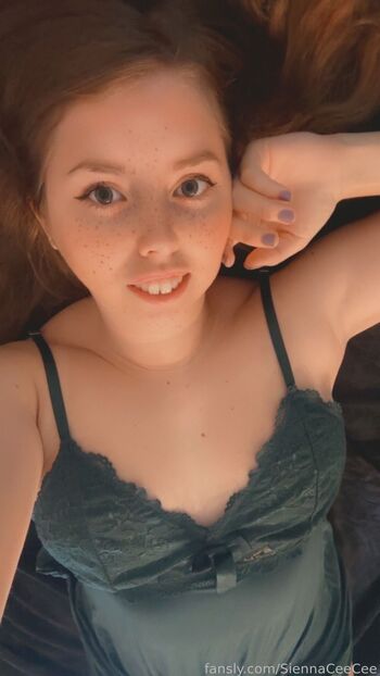 Siennaceecee image