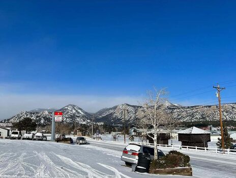 Sierra dominique image