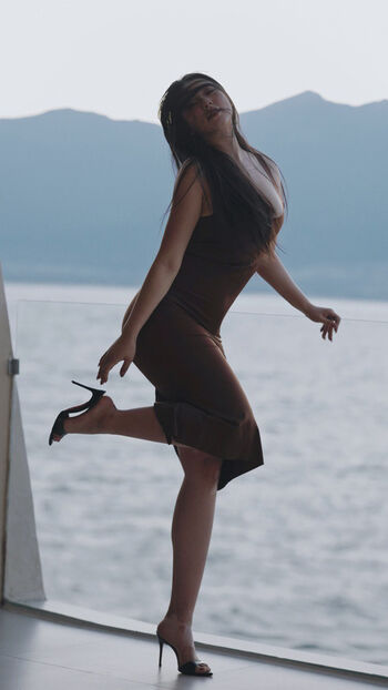 Sika cheng 179deyuedabao image