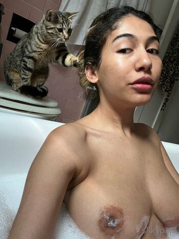 Silkypapi page 3 image