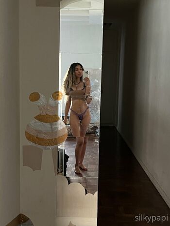 Silkypapi image