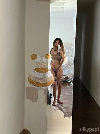 Silkypapi image
