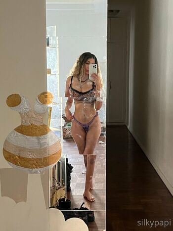 Silkypapi image