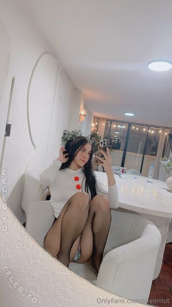 Silver riot image