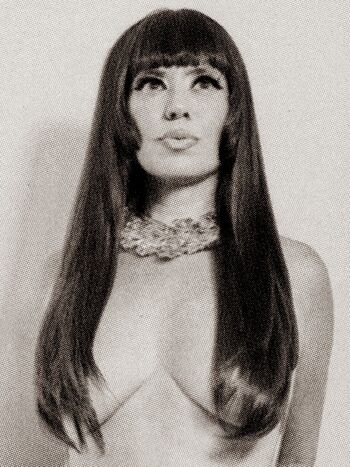 Silvia machete image