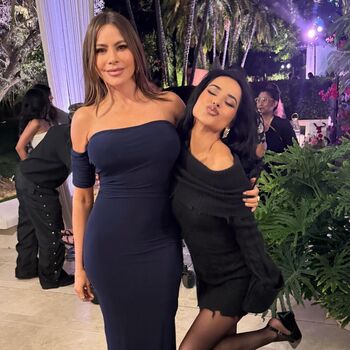 Sofia vergara 1 image