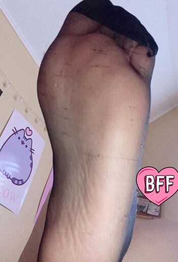 Sofisicoseaa image