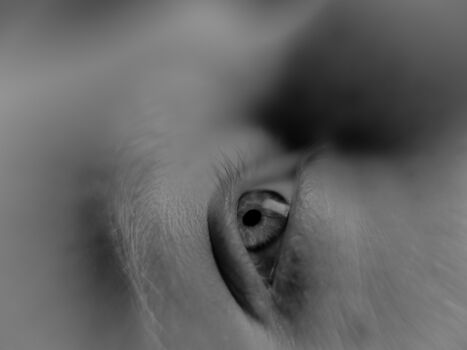 Something about olive image