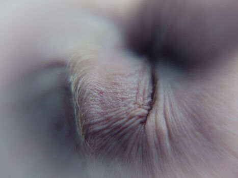 Something about olive image