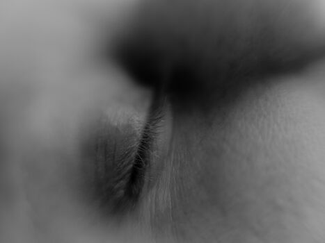 Something about olive image