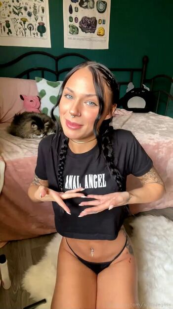 Sommerxbrooke image