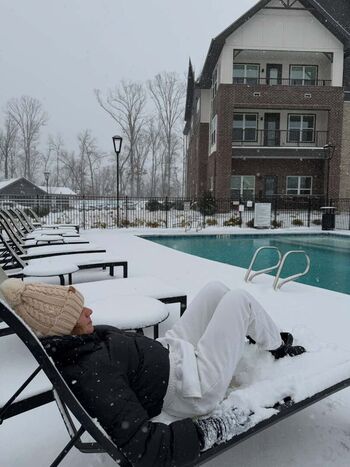 Sophia condensa image