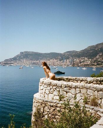 Sophia piccirilli image