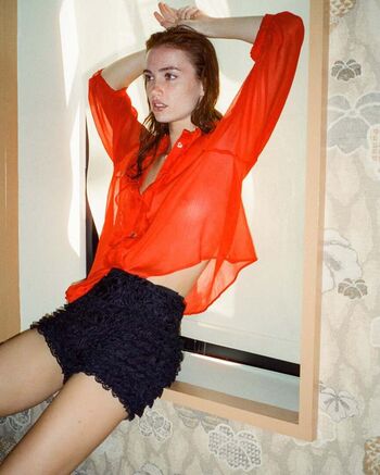 Sophia piccirilli image
