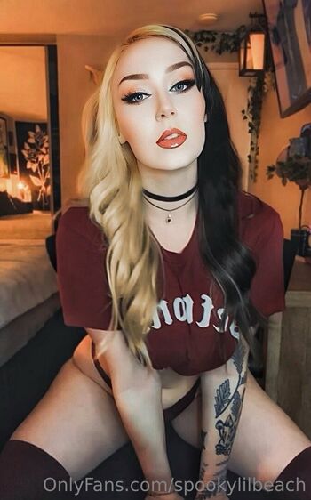 Spookylilbeach image