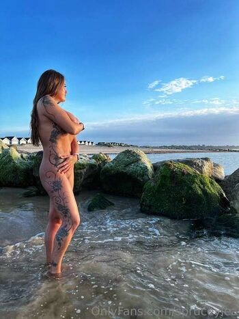 Spruceylea page 2 image