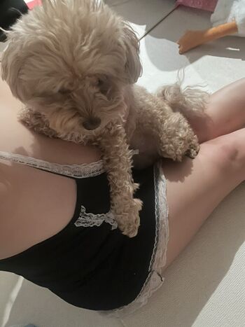 Ssusu kang 0624 image