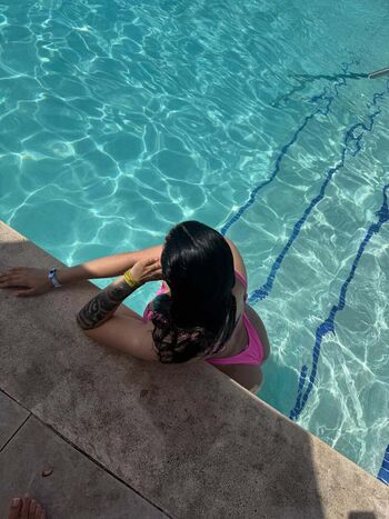 Stallionjasmine image