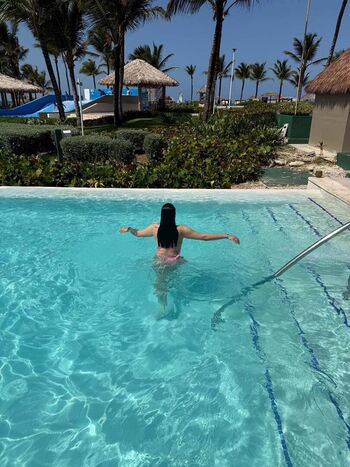 Stallionjasmine image