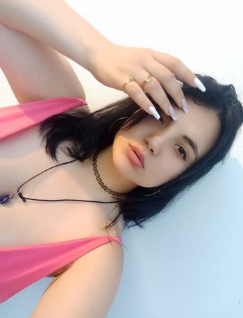 Stefy lavandera image