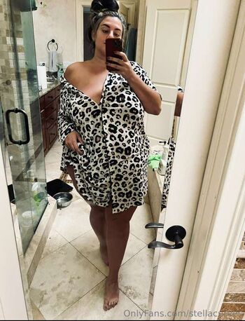 Stella curves image