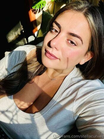 Stella curves image