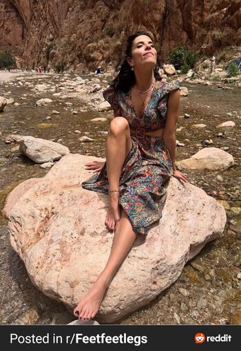 Stella falchi image