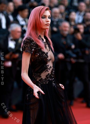 Stella maxwell image