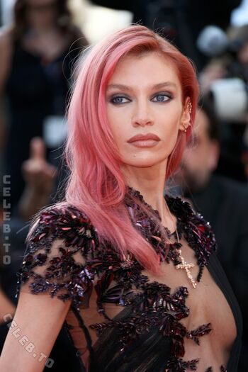 Stella maxwell image