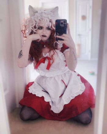 Stellalasaurus image