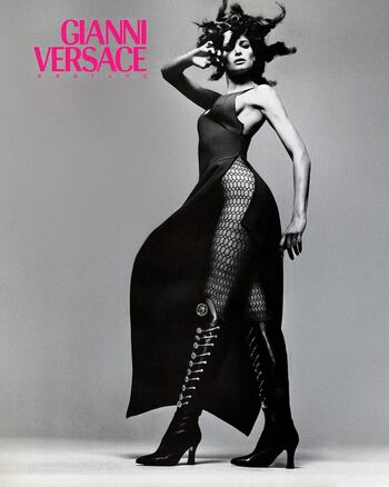 Stephanie seymour image