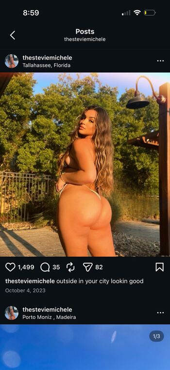 Stevie michele 1 image