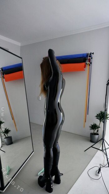 Stilistica image