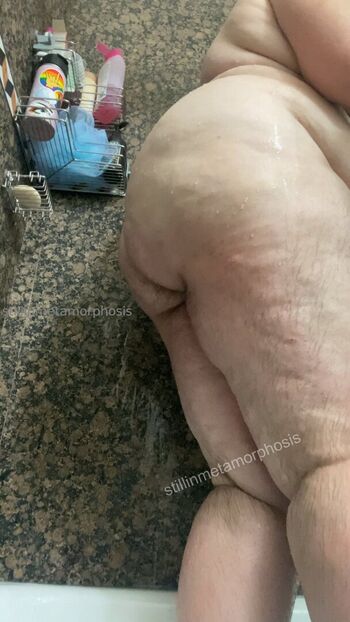 stillinmetamorphosis