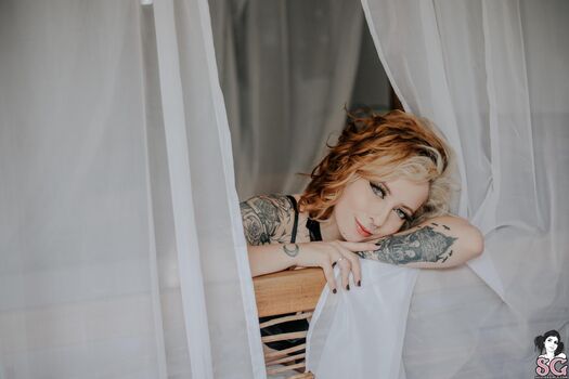 Stokersuicide page 2 image