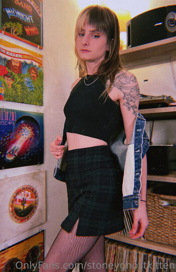 Stoneyghostkitten image