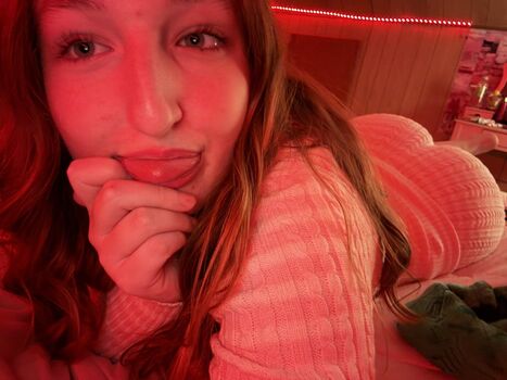 Stopbanningfalyn image