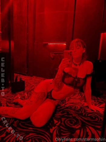 Stormsofsin image
