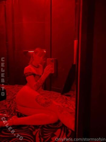 Stormsofsin image