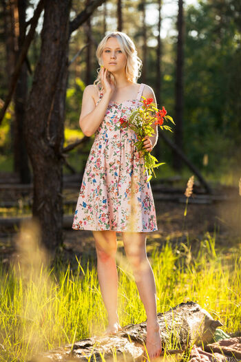 Summer hill image