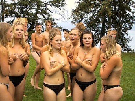 Swedish forest image