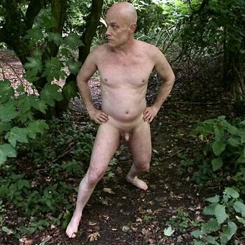 Swedish forest image