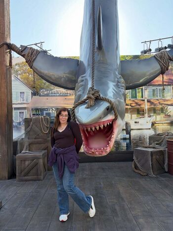 Swell entertainment image