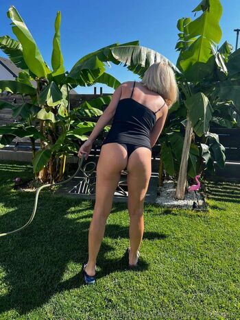Swingermom image
