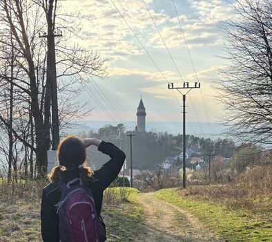 Swordgunlimited image