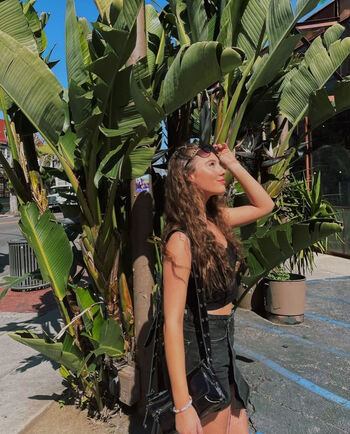 Sydney bullock image