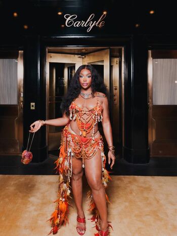 Sza image
