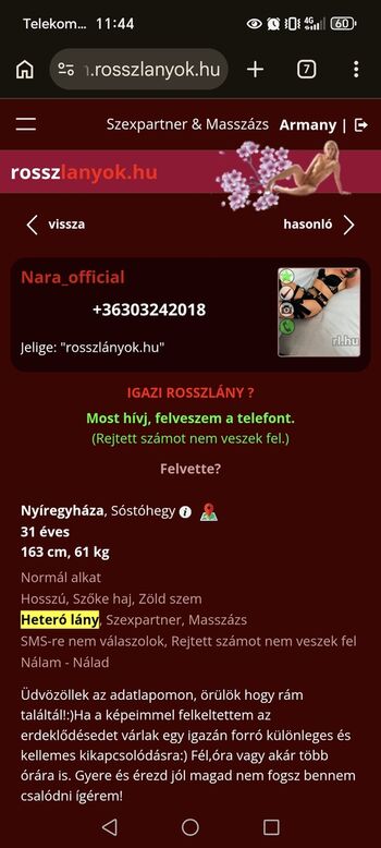 Szabolcs szatmar bereg image