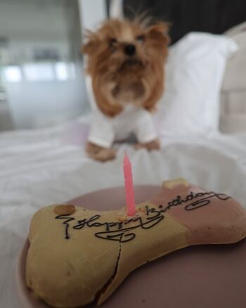 Tattoogirlalia 1 page 2 image