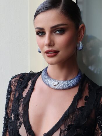 Taylor hill image